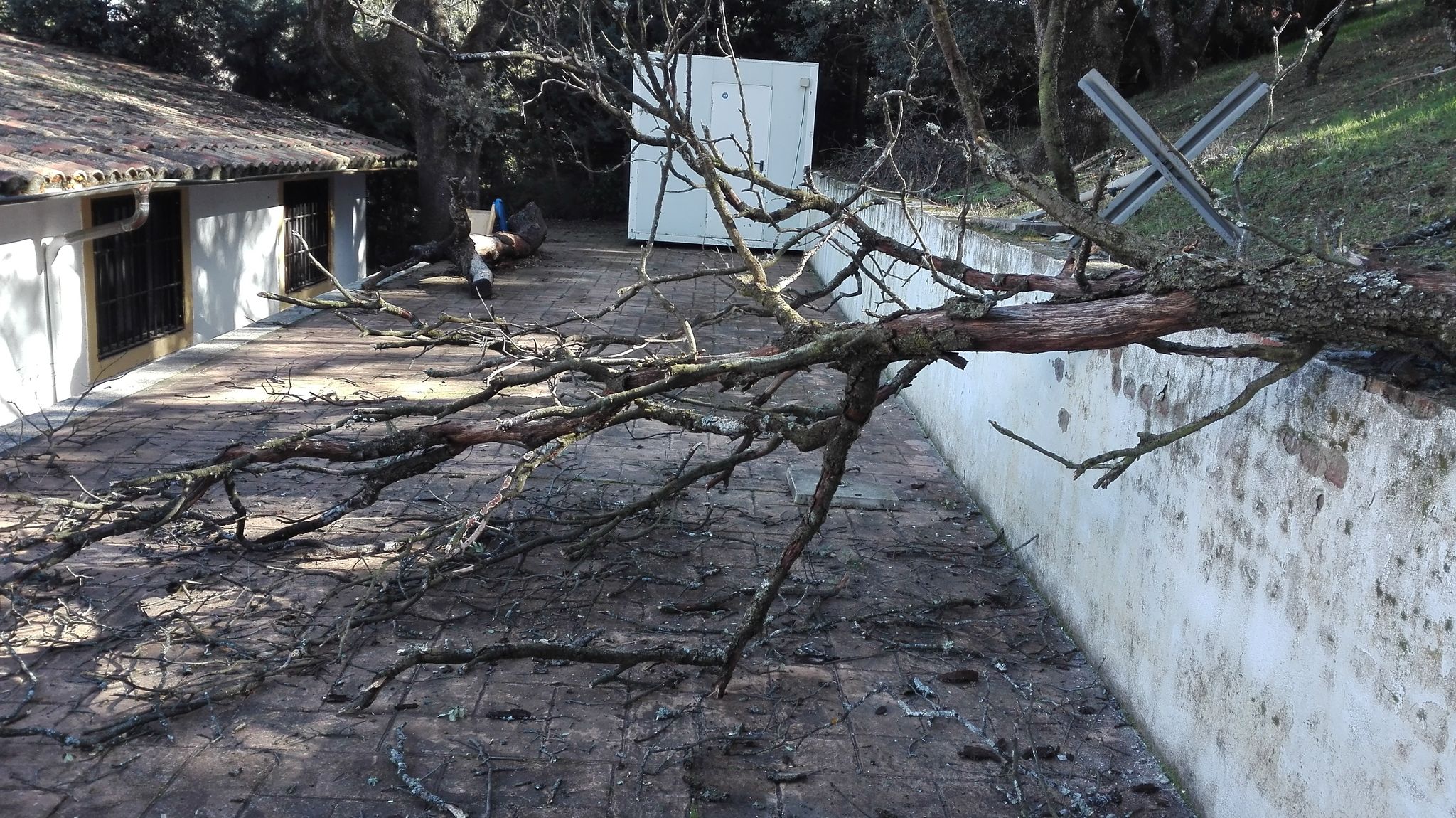 Desperfectos en la casa de José Vélez (Cedida)