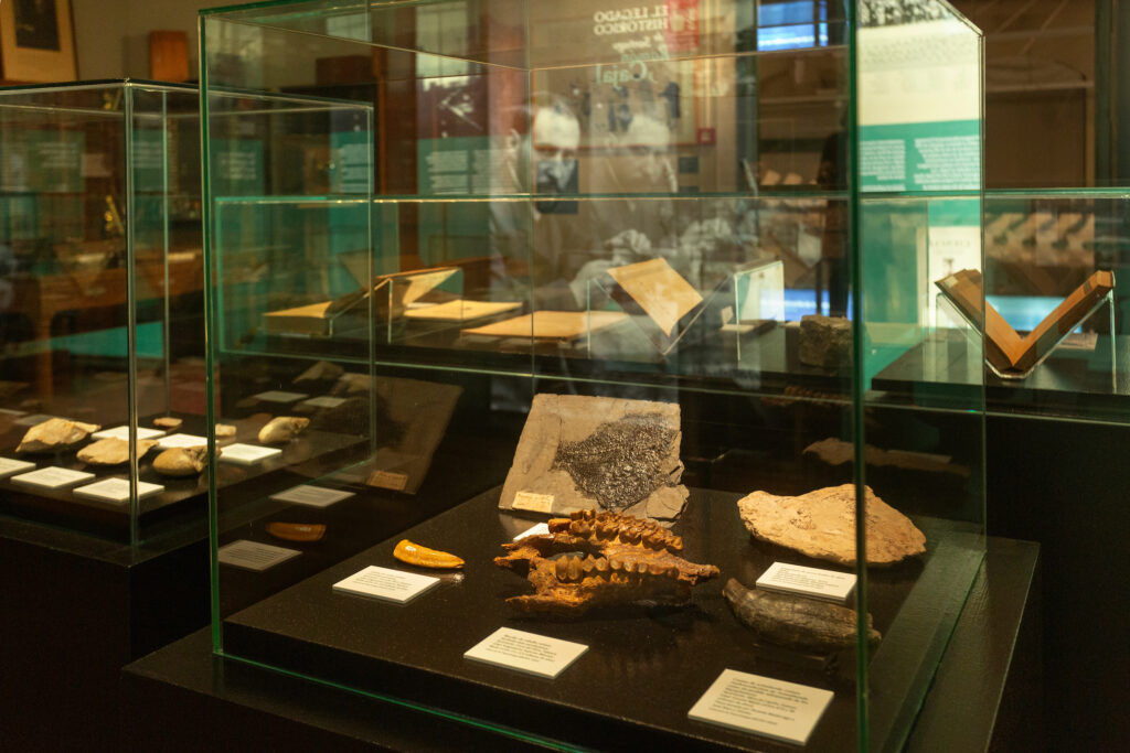 Exposición Ignacio Bolívar.- Joan Costa