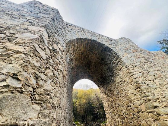 Puente del Reajo.- Cedida por Yolanda Alcaraz Nu&ntilde;o