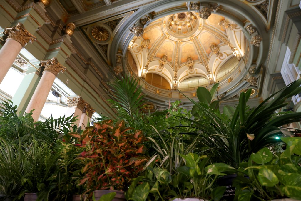 Refugio clim&aacute;tico en el C&iacute;rculo de Bellas Artes de Madrid.- C&iacute;rculo de Bellas Artes